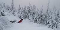 Atomsilda_20221126_63823a8cef883.jpg
