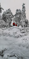 Atomsilda_20221203_638b6f809c6d4.jpg