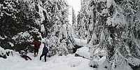 Atomsilda_20221203_638b6f838423a.jpg