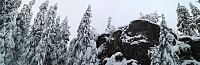 Atomsilda_20221203_638b6f854a8f2.jpg