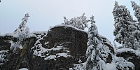 Atomsilda_20221203_638b6f8738b82.jpg