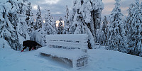 Atomsilda_20221206_638f6bd0a5a94.jpg