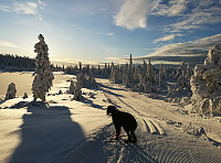 Atomsilda_20221206_638f6bd543117.jpg