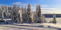 Atomsilda_20221206_638f6bd7d0b17.jpg