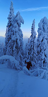 Atomsilda_20221209_63936949357a5.jpg