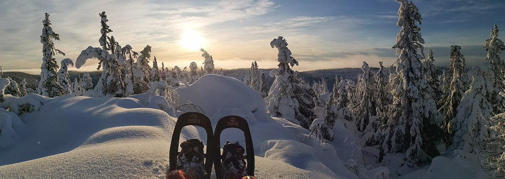 På Høgbrenna 
