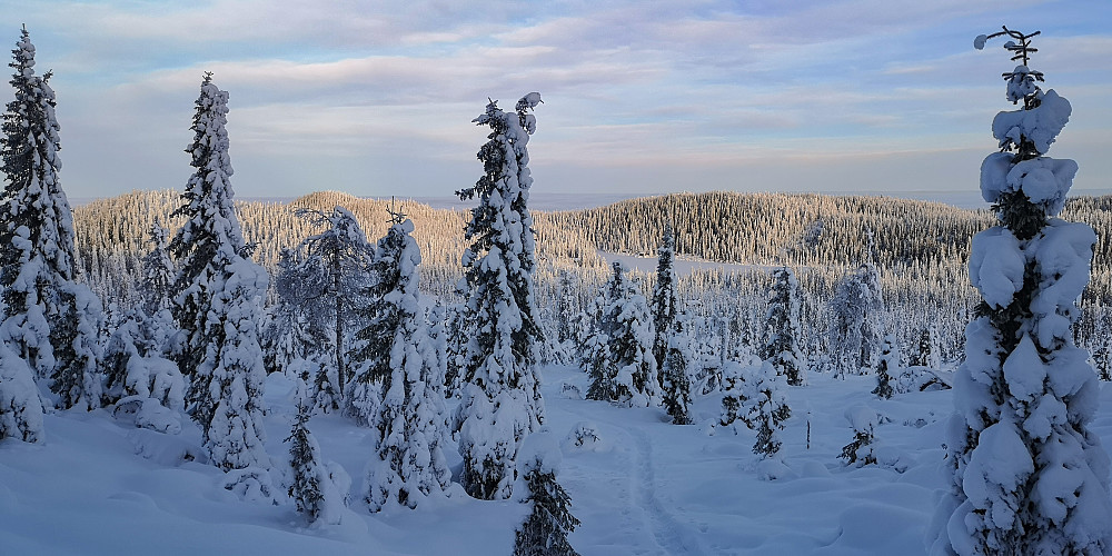 Tilbakeblikk mot Herva. Fra oppstigningen til Skreifjella 