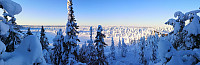 Atomsilda_20221223_63a5c40dd4bb1.jpg