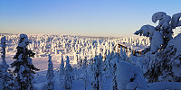 Atomsilda_20221223_63a5c40f77155.jpg