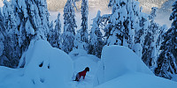 Atomsilda_20230110_63bd8e29cbfe0.jpg