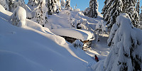 Atomsilda_20230110_63bd8e2eabc17.jpg