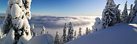 Atomsilda_20230110_63bd8e32a3771.jpg