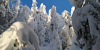 Atomsilda_20230110_63bd8e35a3c2c.jpg