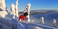 Atomsilda_20230110_63bdc19006f29.jpg