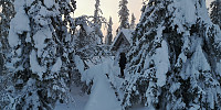 Atomsilda_20230112_63c04d7b102d3.jpg