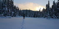 Atomsilda_20230112_63c04d7da5fed.jpg