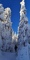 Atomsilda_20230112_63c04d80252c4.jpg