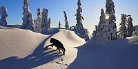 Atomsilda_20230112_63c04d81408d4.jpg