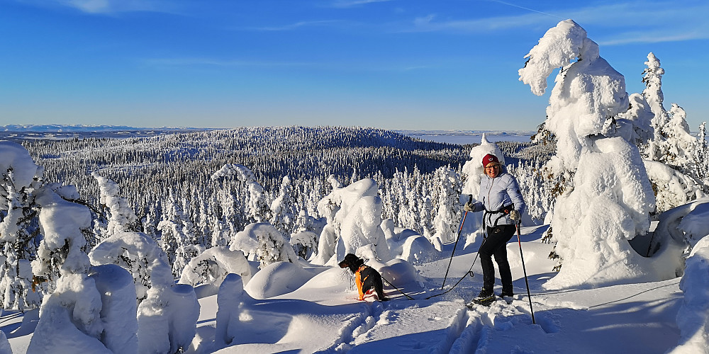Tjuvåskampen bakenfor