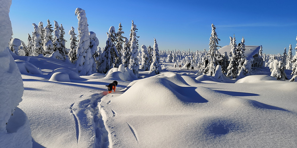 Ved Rausteinshytta 