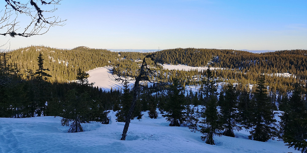 Fra oppstigningen til Skreifjella. Fugletjernet og Herva nedenfor. 