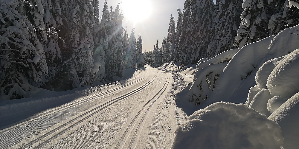 Var innom løypetraseen noen få hundre meter i Stilvatnsdalen