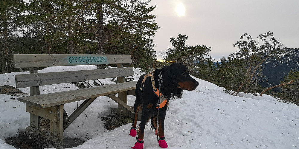 På Bygdeborgen 