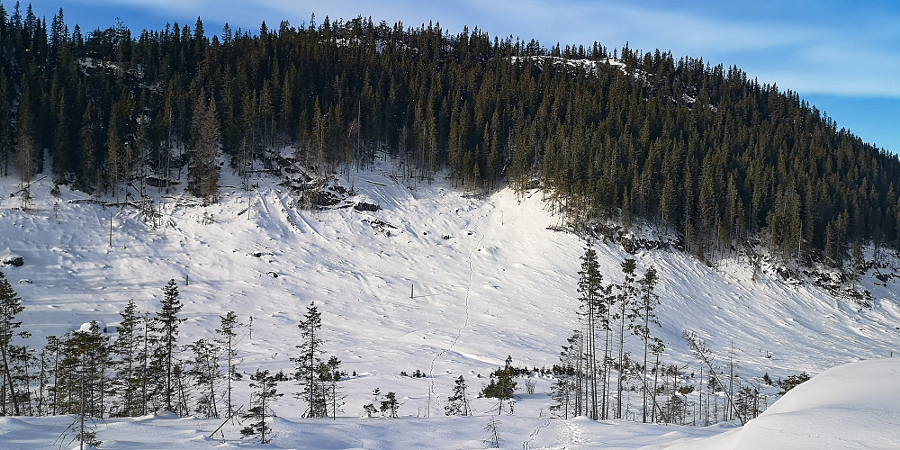 Den bratte bakken fra toppen. Mye brattere inni skogen der. 