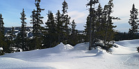 Atomsilda_20230212_63e901afa7dc9.jpg
