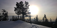 Atomsilda_20230212_63e901b16c697.jpg