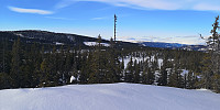 Atomsilda_20230212_63e901b34f1d2.jpg