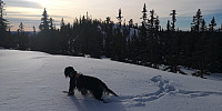 Atomsilda_20230212_63e901b515928.jpg