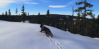 Atomsilda_20230212_63e901b70b6d2.jpg