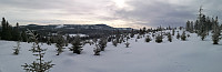 Atomsilda_20230216_63ee32e9e1ff0.jpg