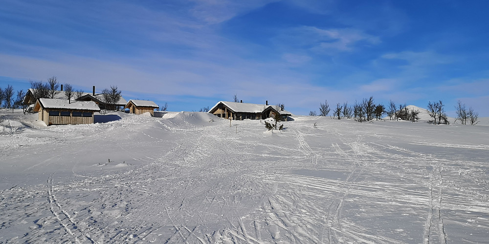Veslebu