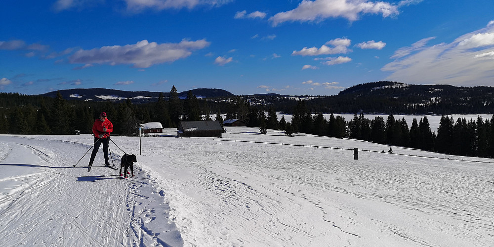 Ved Malsjøen