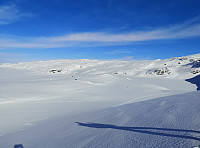 Atomsilda_20230315_6412457b8805b.jpg