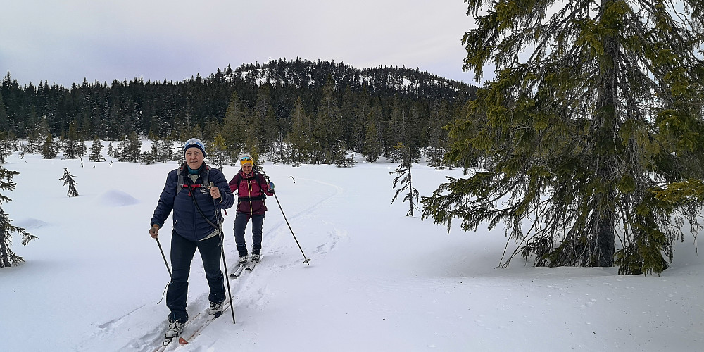 Bjørnåsen bakenfor 