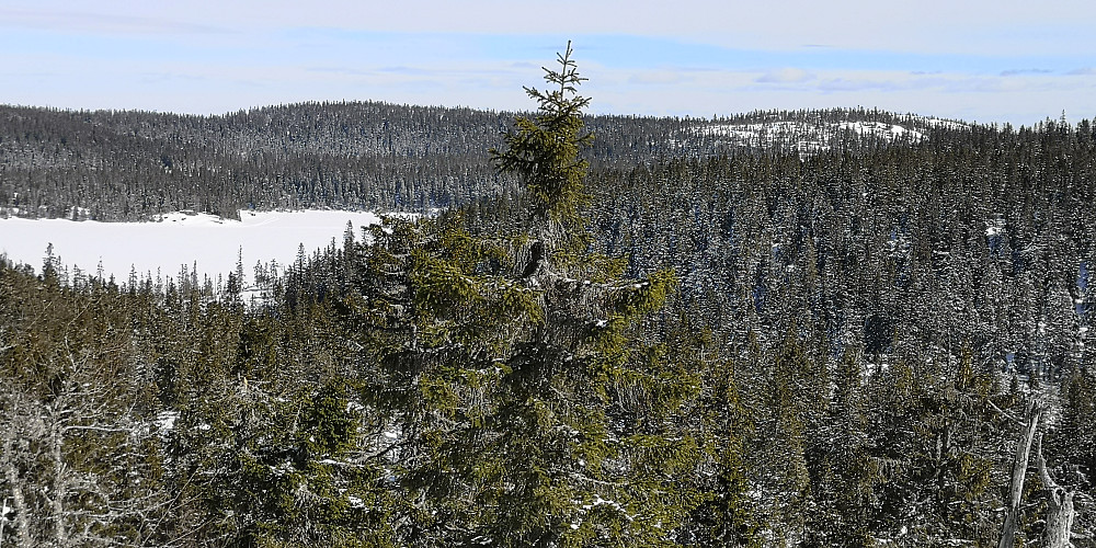 Utsikt mot Skreifjella (800 moh) til venstre opp i bildet. Vi ser vatnet Fisklausen og oppe i høyre hjørne ser vi Høgbrenna (796 moh)