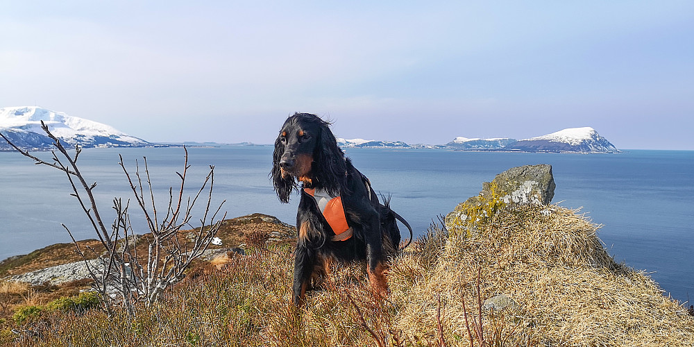Embla på Dryna Vest