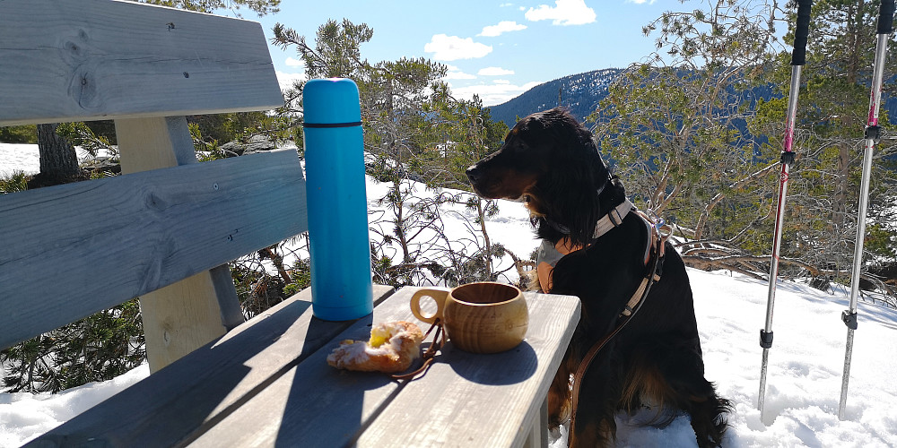 På Bygdeborgen 
