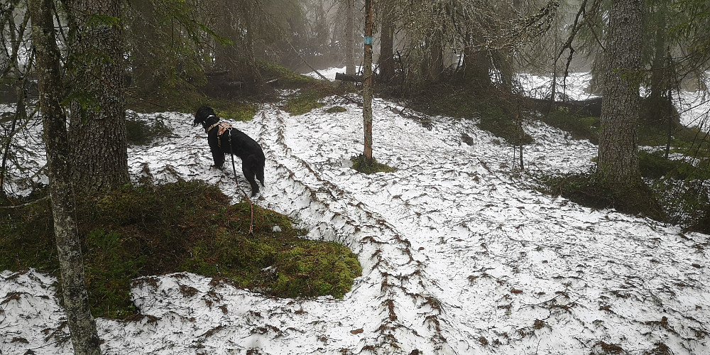 Noe snø igjen noen plasser 