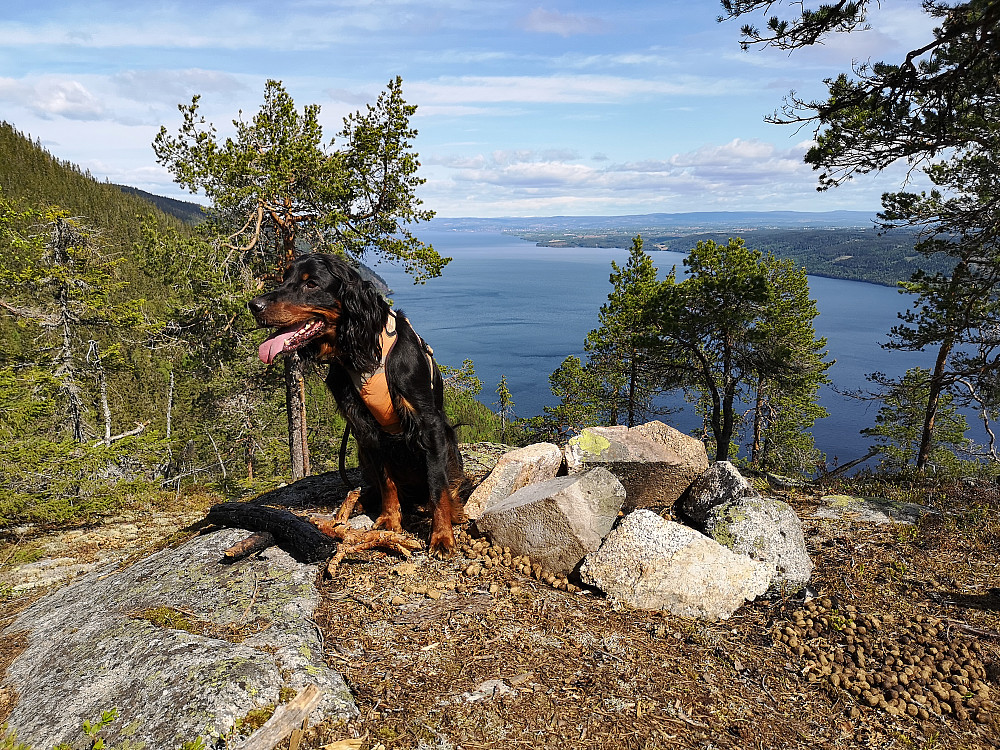 En kjent og kjær plass. 