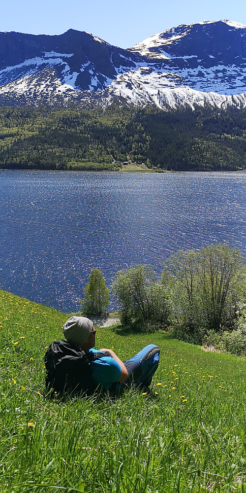 Ahhh... dette var herlig 