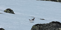 Atomsilda_20230602_647a3743e6d92.jpg