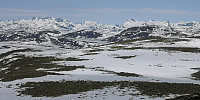 Atomsilda_20230602_647a3744c7f00.jpg