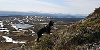 Atomsilda_20230604_647cd95e31d0f.jpg