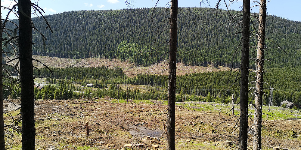Straks nede ved Torsetra... og så er det bratt opp Åsen 