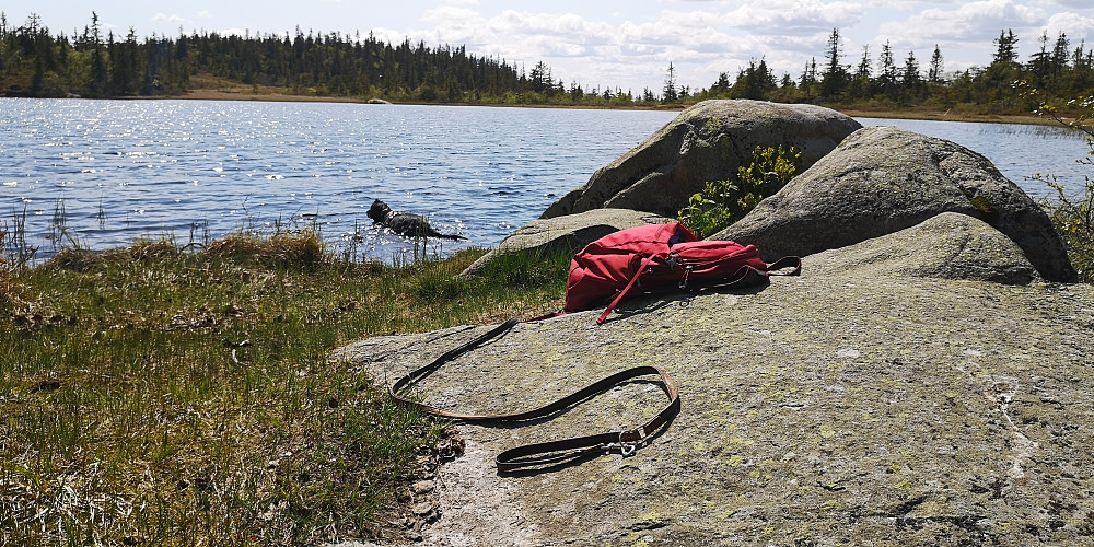 Avkjøling i Rausteinstjernet 