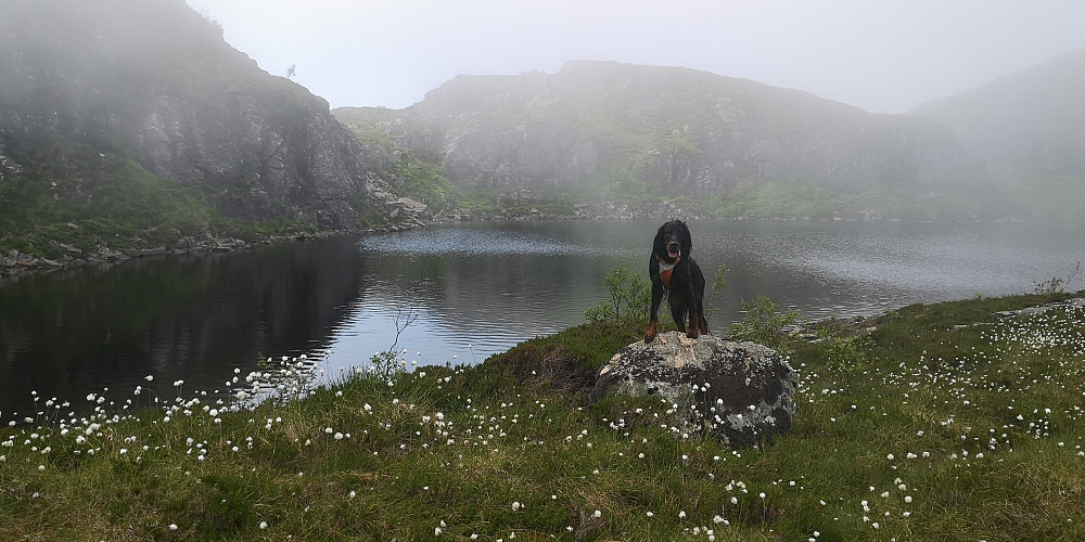 Bløvatnet